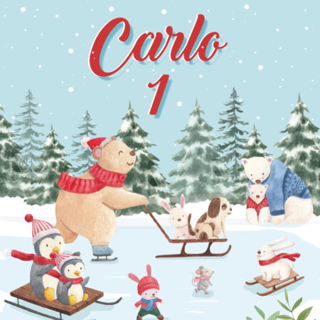 Animali Inverno