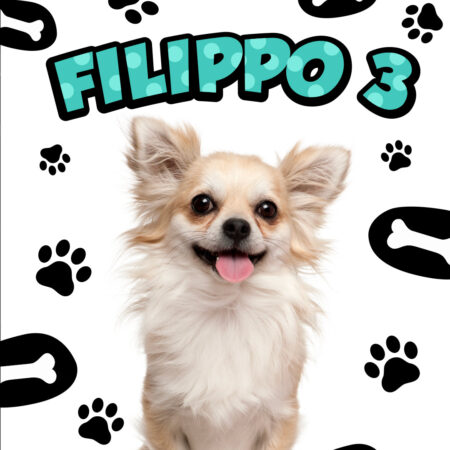 Cagnolino