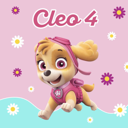 Paw Patrol Skye