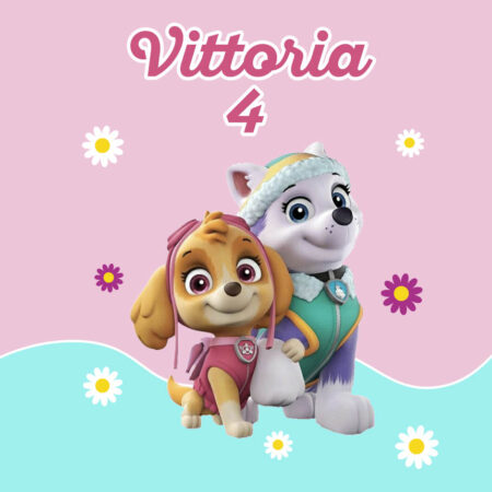 Paw Patrol Skye e Everest